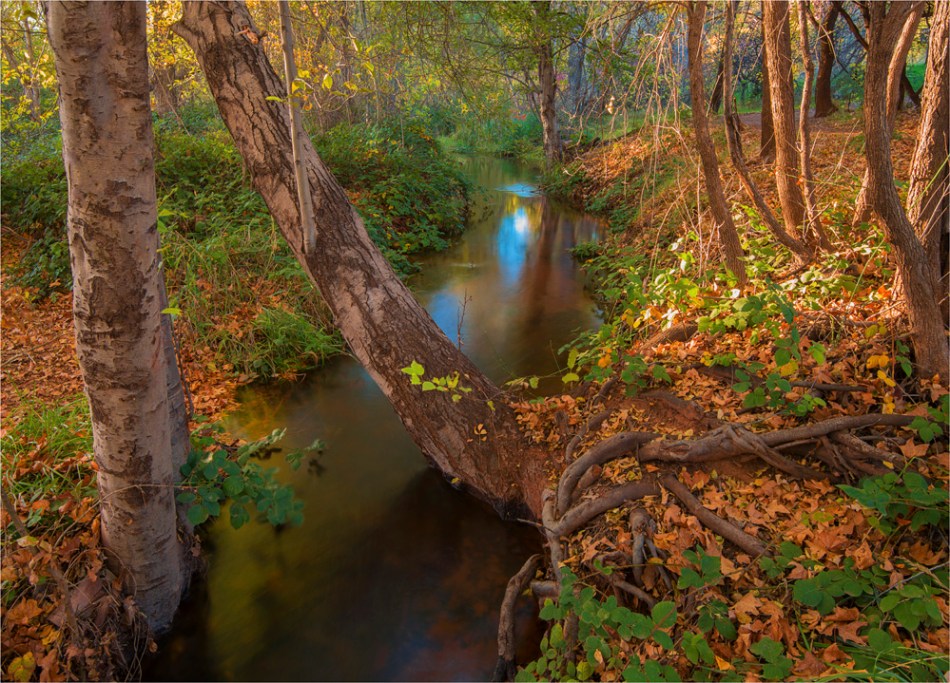 Oak-Creek-Canyon-Sedona-AZ03-18x25