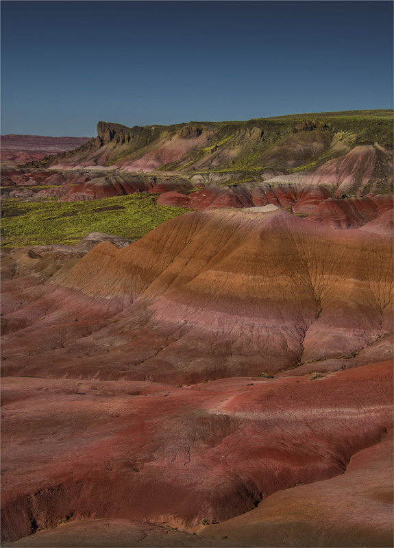 Painted-Desert-AZ02-18x25