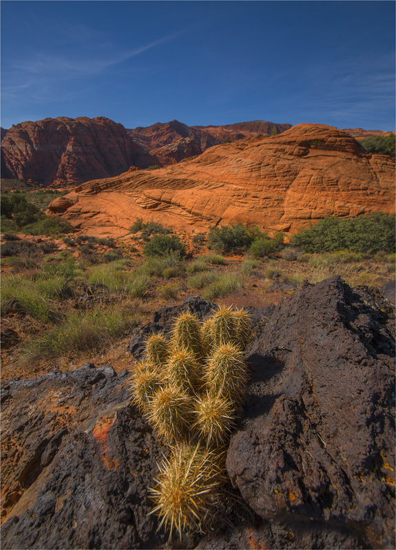 Snow-Canyon-U09-18x25