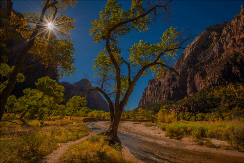 Sunstar-Zion-NP-U701-16x24