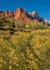 Zion-NP-Autumn-U01-18x25