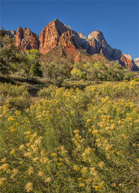 Zion-NP-Autumn-U01-18x25