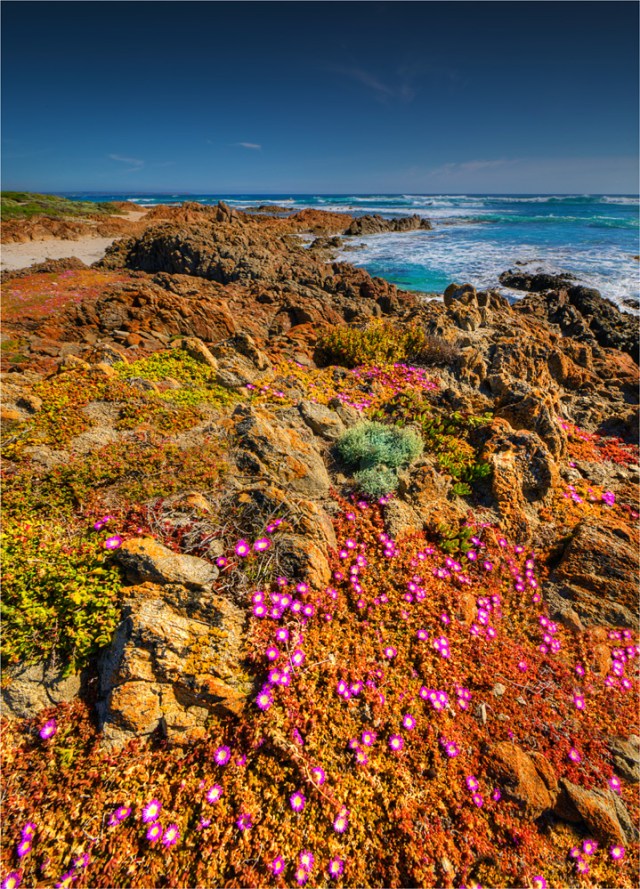 Badgers-Box-Summer-KI0769-18x25