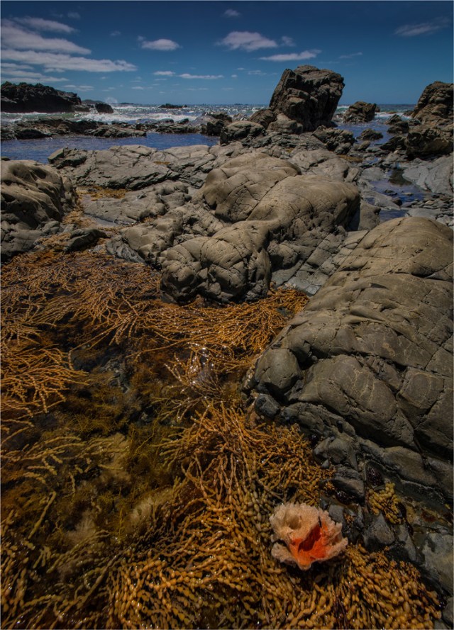 Black-Point-Summer-KI0771-18x25