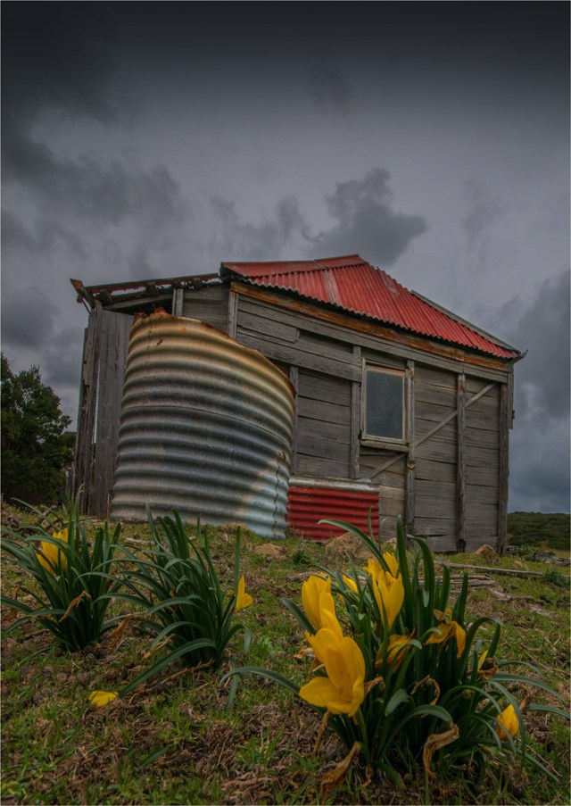 Edens-House-Palana-FI0408-17x24