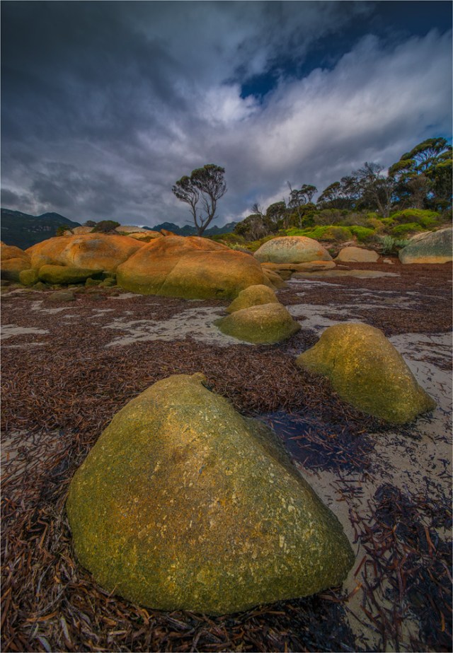 Fotheringate-Dawn-FI0383-18x26