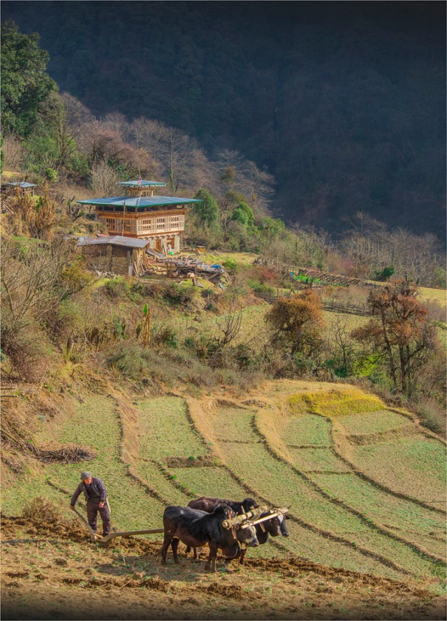 _ICR0167-Farming-BHU0-18x25