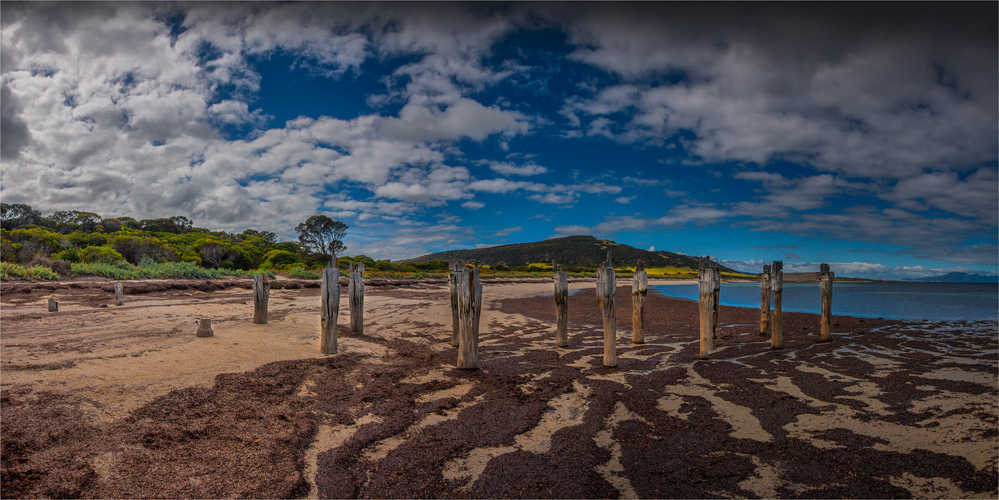 Lillies-Beach-FI0415-20x40