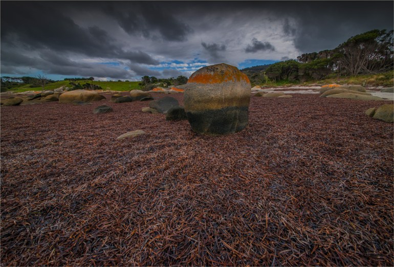 Sawyers-Bay-low-tide-FI0394-17x25