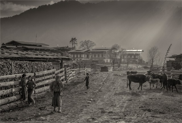 Trongsa-BHU078M-17x25