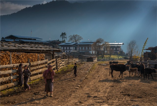 Trongsa-BHU079-17x25