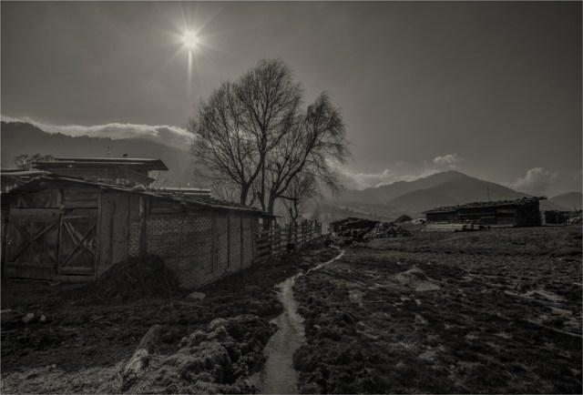 Trongsa-Sunstar-BHU081M-17x25