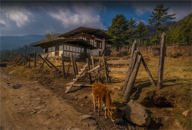 Trongsa-Valley-BHU0106-17x25