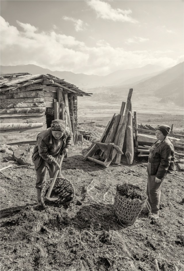 Trongsa-Valley-BHU0110M-17x25