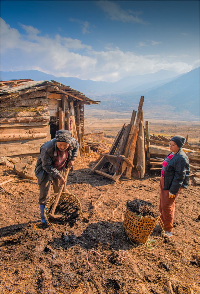 Trongsa-Valley-BHU0111-17x25