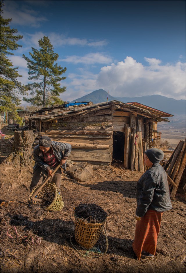 Trongsa-Valley-BHU0112-17x25