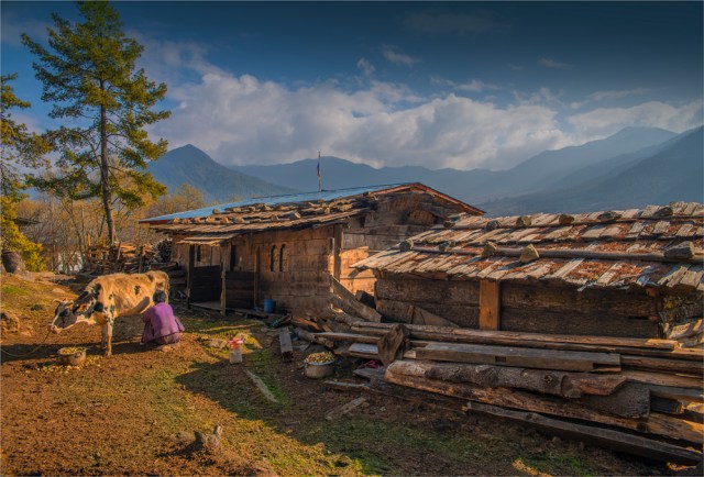 Trongsa-Valley-BHU0114-17x25