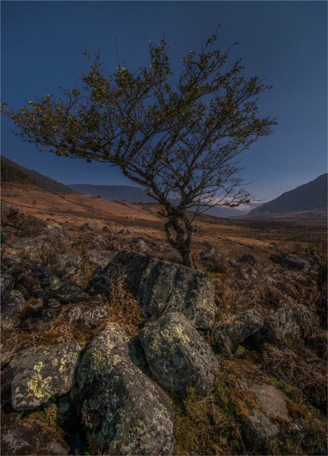 Trongsa-Valley-BHU088-18x25