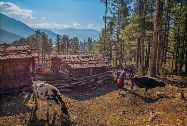 Trongsa-Valley-Dawn-BHU0109-17x25
