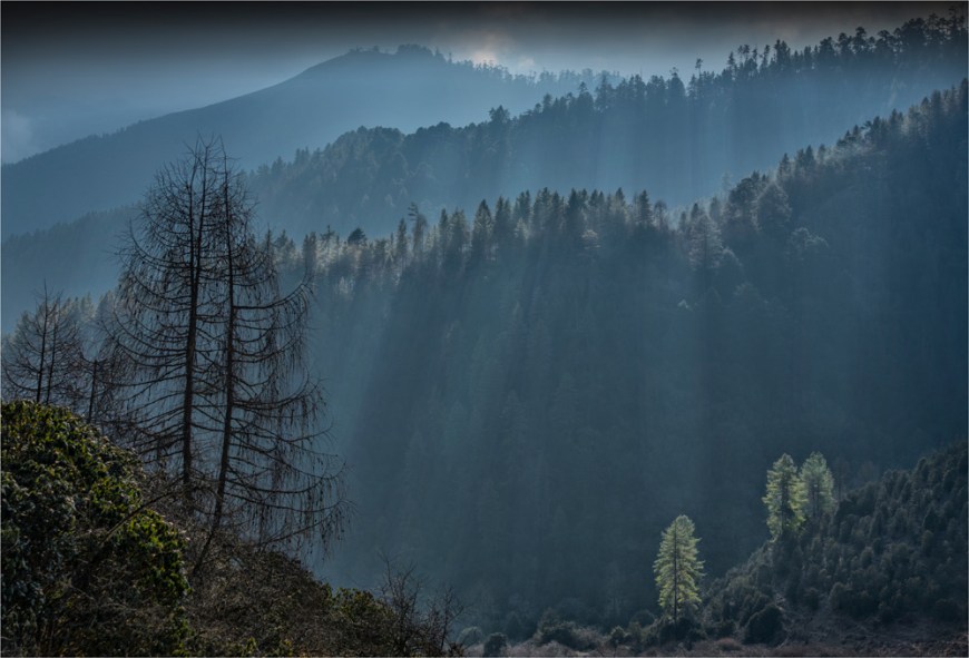 Trongsa-Valley-Light-BHU0116-17x25