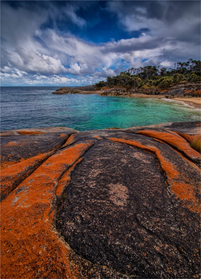 Trouser's-Point-Colours-FI0398-18x25