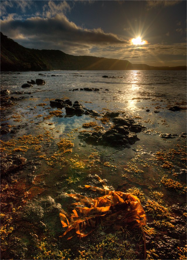 Bushrangers-Bay-Morning-V0-18x25