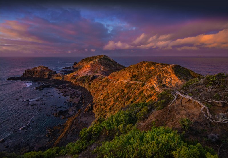 Cape-Schanck-Dawn-V00-18x26