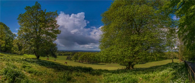 Creech-Manor-view-E0-15x35 copy