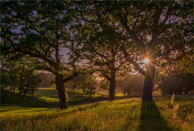 East-Creech-Lightscape-E0-17x25 copy