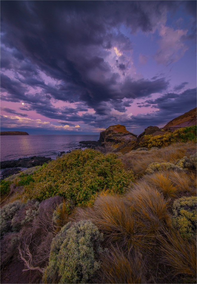 Moonlight-Bushrangers-Bay-V0-18x25