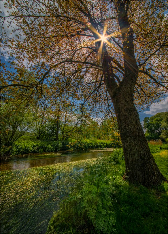 Stour-River-P-E0-18x25 copy