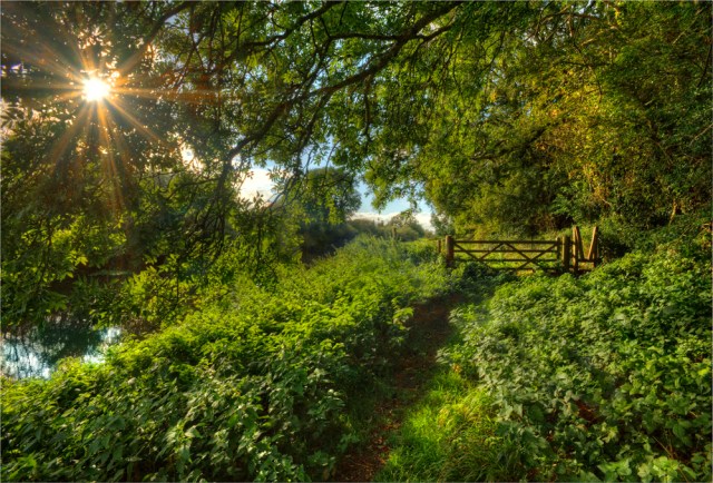 Stour-River-Sunburst-E0-17x25 copy