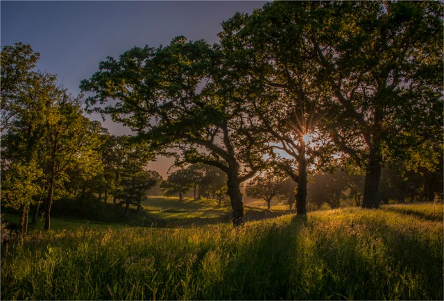 Sunstar-Creech-Rural-E0-17x25 copy