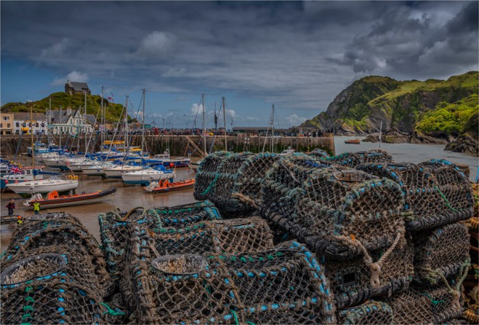 Lobster-Pots-Ilfracombe-E0-17x25