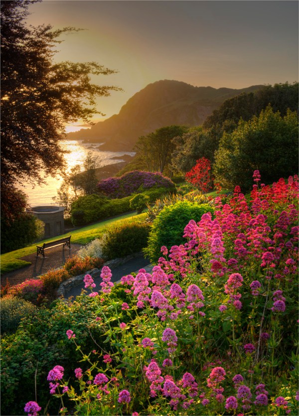 St-James-Park-Dawn-E0-18x25