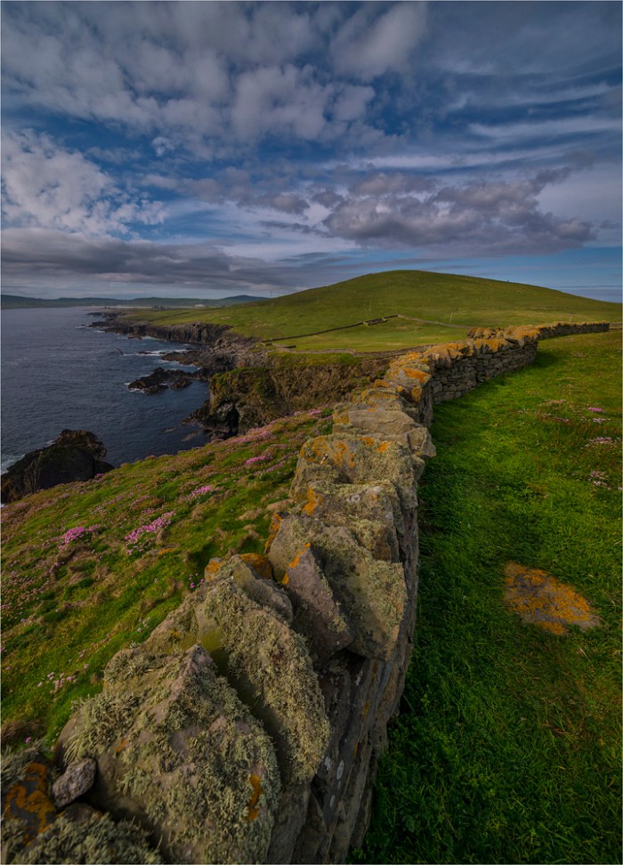 Fenceline-SHET003-18x25