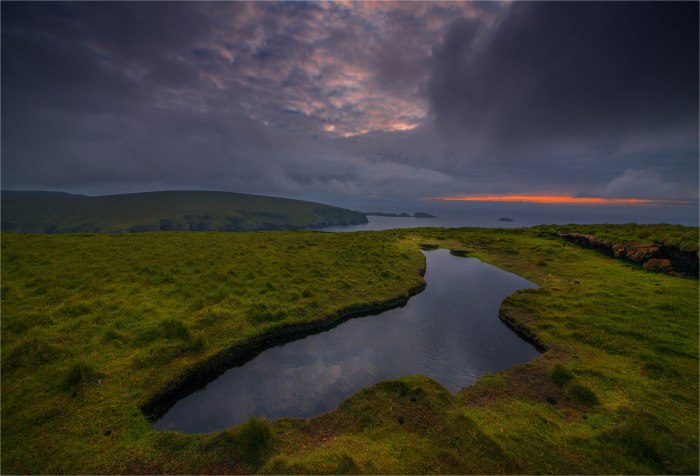 Hermaness-Coastal-SHET043-17x25