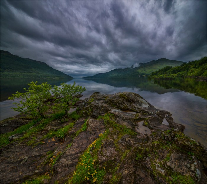 Loch-Lomond-SCT0450-228