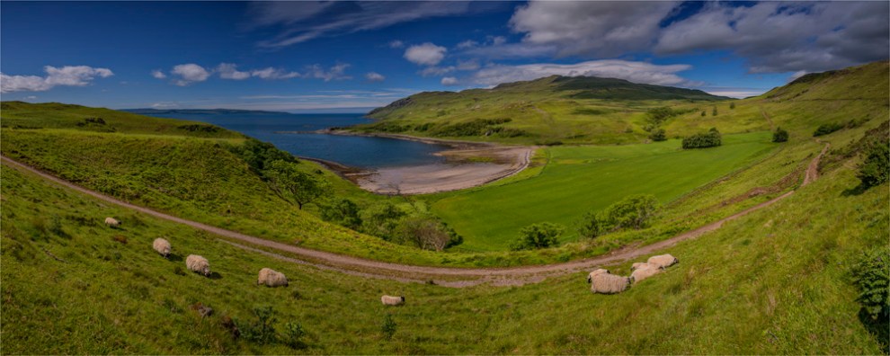 Loch-Sunart-Panorama-SCT0452-20x50