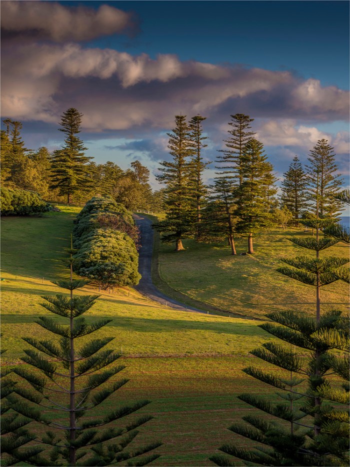 Headstone-Point-Evening-Light-NI0504-18x25 copy