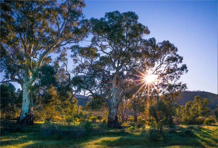 Brachina-Early-Light-SA-FR009-17x25