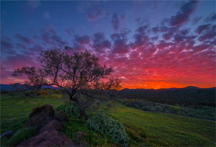 Bunyeroo-Sunset-SA-FR055-17x25