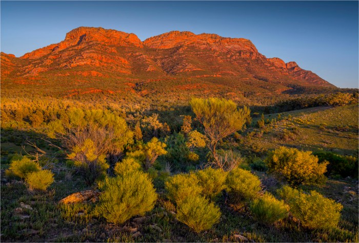 Rawnsley-Dawn-SA-FR046-17x25