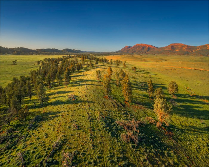 Wilpena-Dawn-SA-FR034-20x25