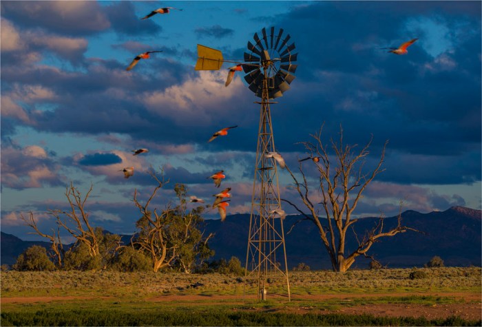Windmill-at-Dusk-SA-FR003-17x25