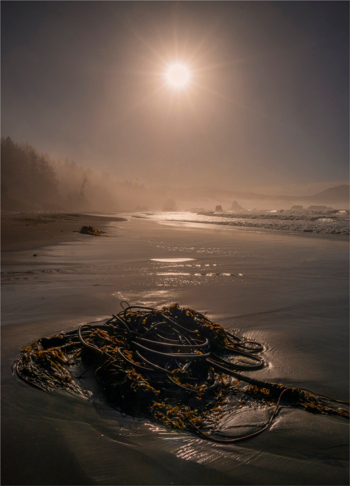 Battle-Rock-Port-Orford-2015-09-US-ORE028-18x25