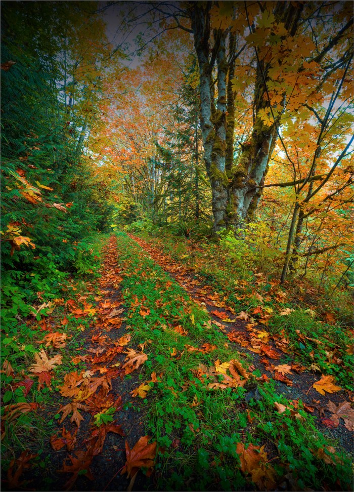 Elwha-Valley-2015-09-US-WASH054-18x25