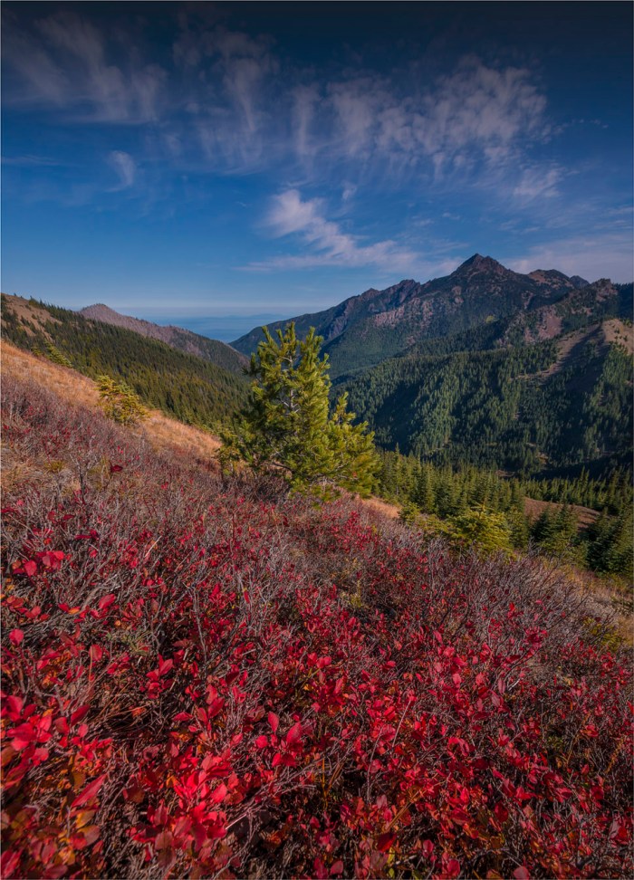 Hurricane-Ridge-2015-09-US-WASH159-18x25