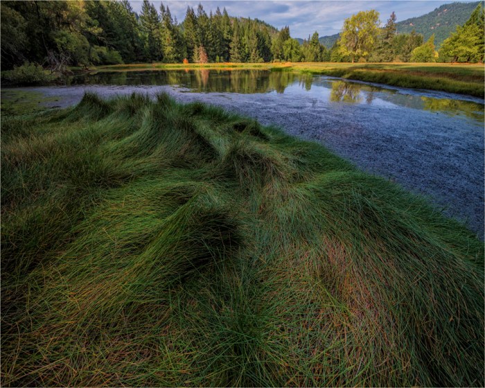 Leggett-Reserve-2015-09-US-CAL009