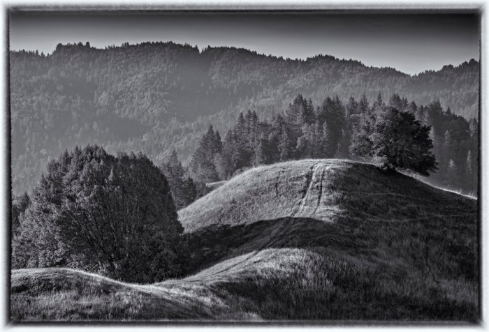 mMontgomery-State-Reserve-2015-09-US-CAL009-17x25